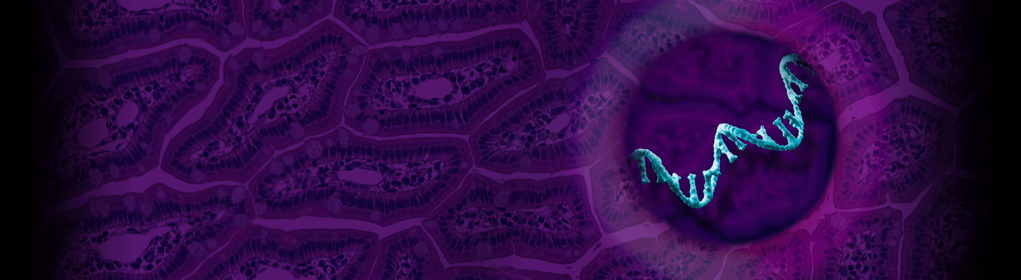 SPT Labtech and Watchmaker Genomics partner to simplify and streamline NGS library preparation