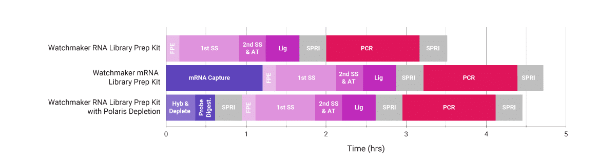 Watchmaker RNA Library Preparation Workflows Watchmaker RNA Library Preparation Workflows